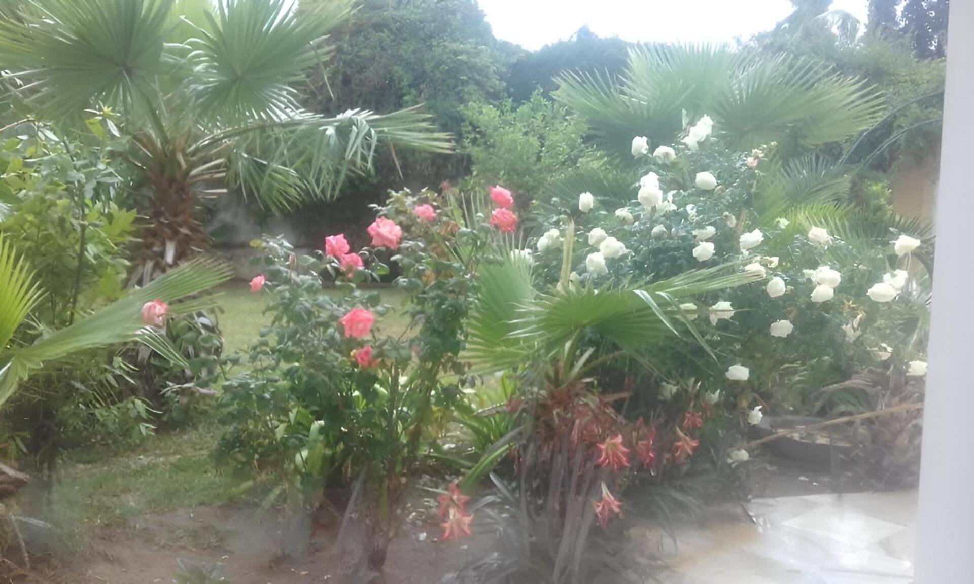 Willa Au Bout Du Jardin Kartagina Zewnętrze zdjęcie